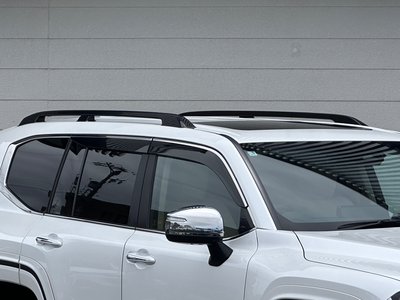2025 Toyota LAND CRUISER 300 缩略图 18