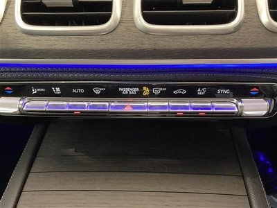 2020 Mercedes-BENZ OTHERS 缩略图 24