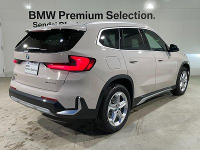 BMW X1 - 6