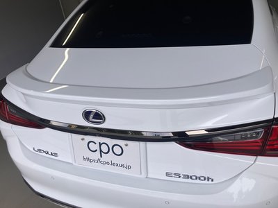 2021 Lexus ES 缩略图 11