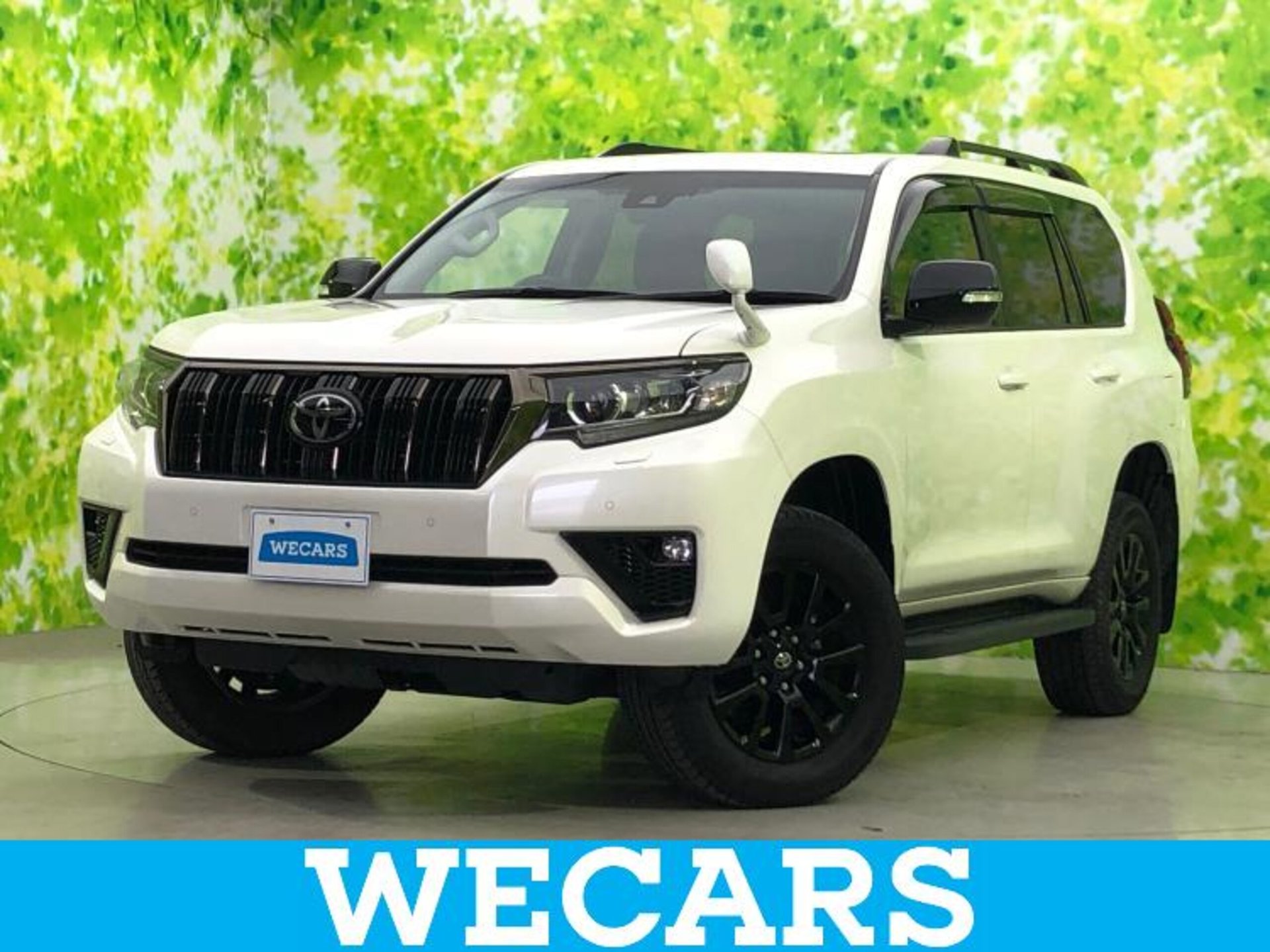 TOYOTA LAND CRUISER PRADO - View 1