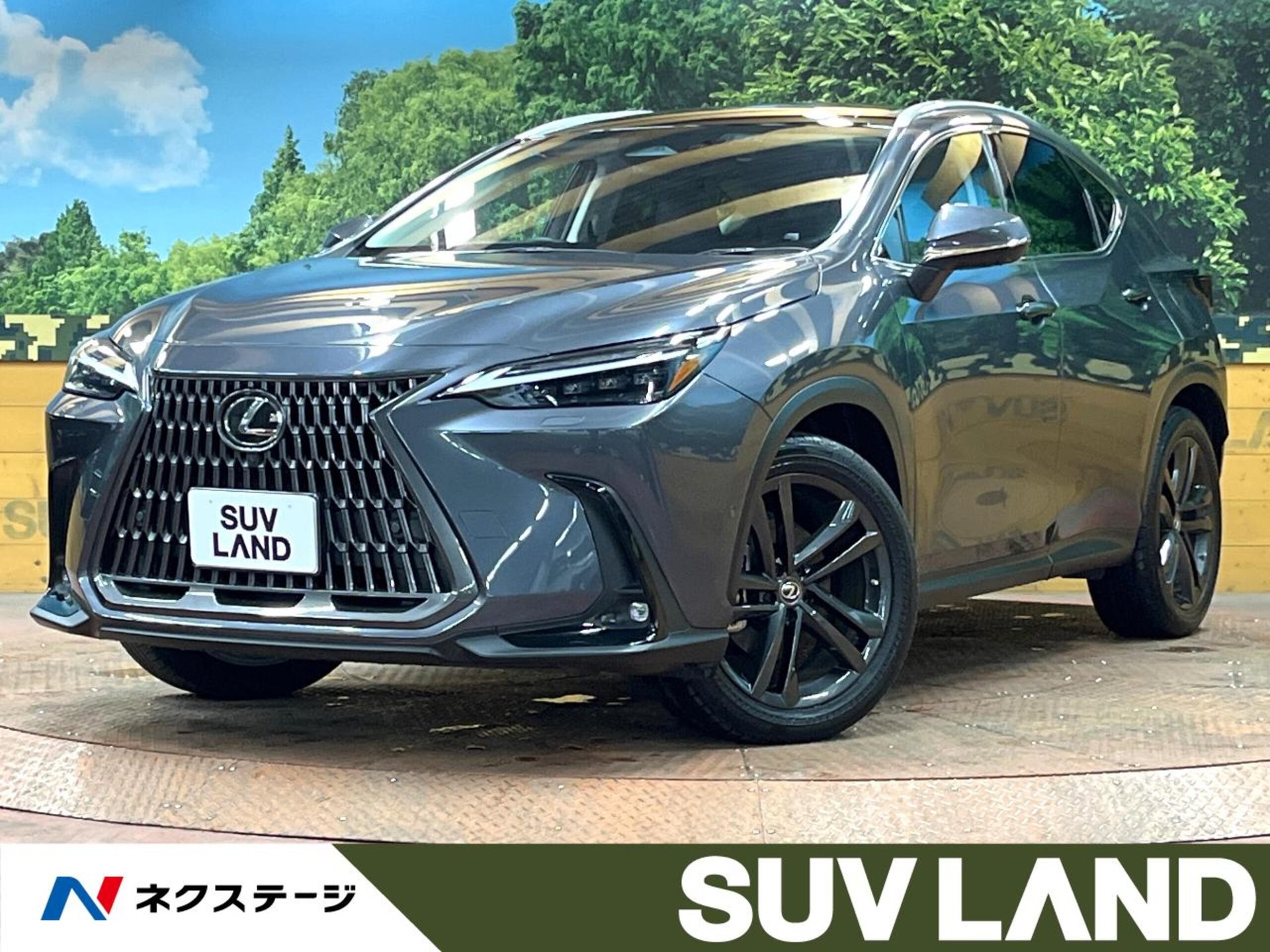 LEXUS NX - View 1