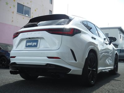 2024 Lexus NX 照片 6