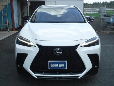 2024 Lexus NX 照片 2