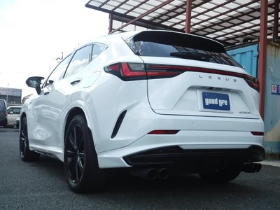 2024 Lexus NX 照片 4