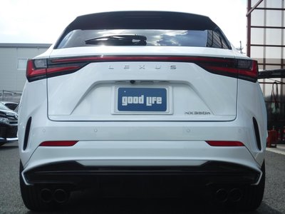 2024 Lexus NX 照片 5