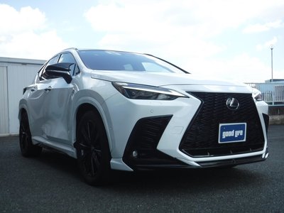 2024 Lexus NX 照片 3