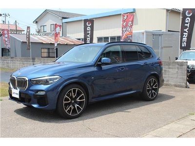 2019 BMW X5 thumbnail 12