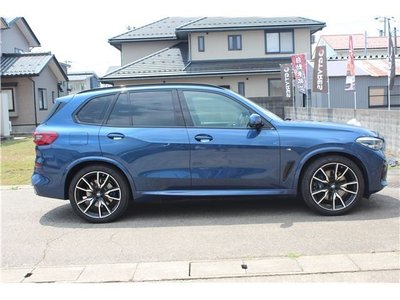 2019 BMW X5 thumbnail 31
