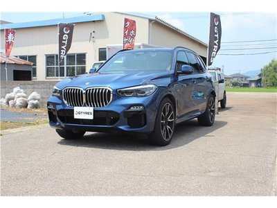 2019 BMW X5 photo 10