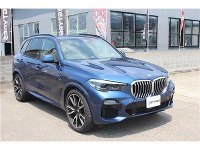 2019 BMW X5 thumbnail 15