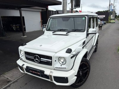 2015 Mercedes-BENZ G-CLASS 缩略图 54