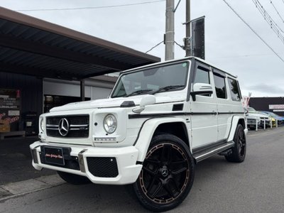 2015 Mercedes-BENZ G-CLASS 缩略图 53