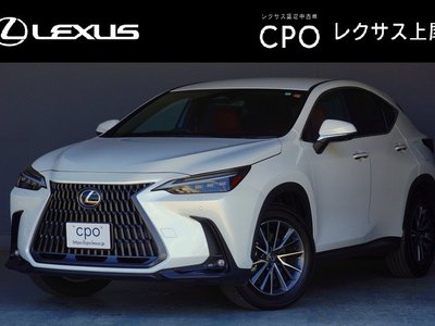 صورة 1 لـ 2023 Lexus NX