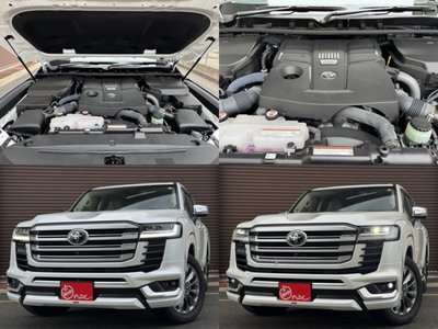 2023 Toyota LAND CRUISER 300 缩略图 14