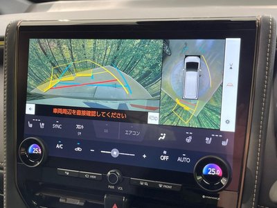 2025 TOYOTA ALPHARD photo 6