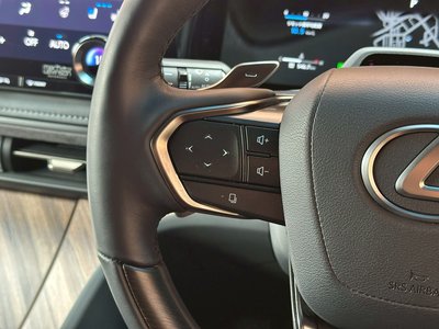 2024 Lexus LM 缩略图 45