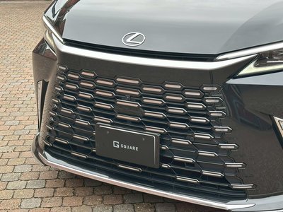 2024 Lexus LM 缩略图 22