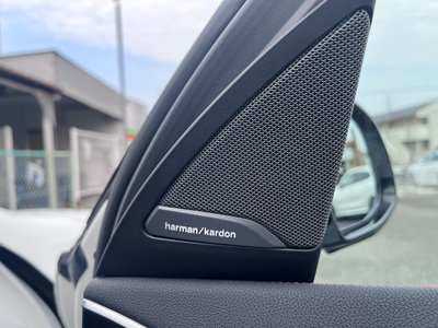 2023 BMW X4 — миниатюра 19
