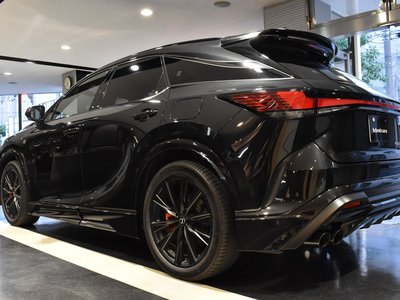 LEXUS RX - 4