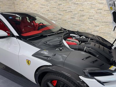 2024 FERRARI PUROSANGUE 照片 10