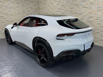 2024 FERRARI PUROSANGUE 照片 5