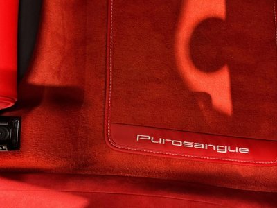 2024 Ferrari PUROSANGUE 缩略图 21