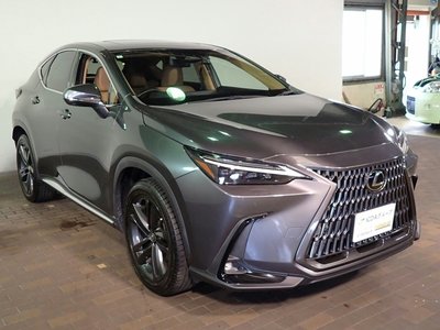 2022 Lexus NX — миниатюра 32