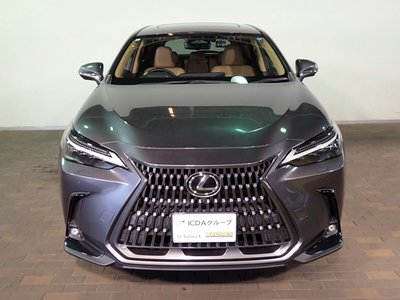 2022 Lexus NX — миниатюра 33