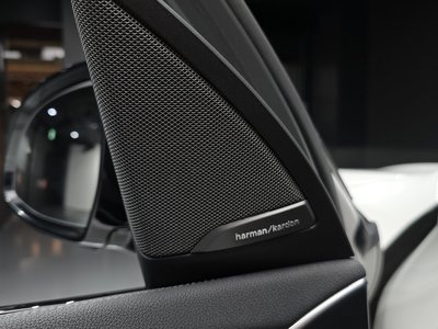 صورة مصغرة 37 لـ 2023 BMW X3