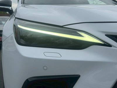 LEXUS NX - 10