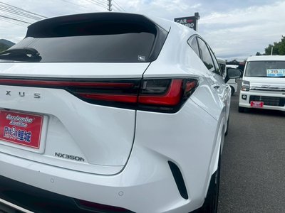 LEXUS NX - 4