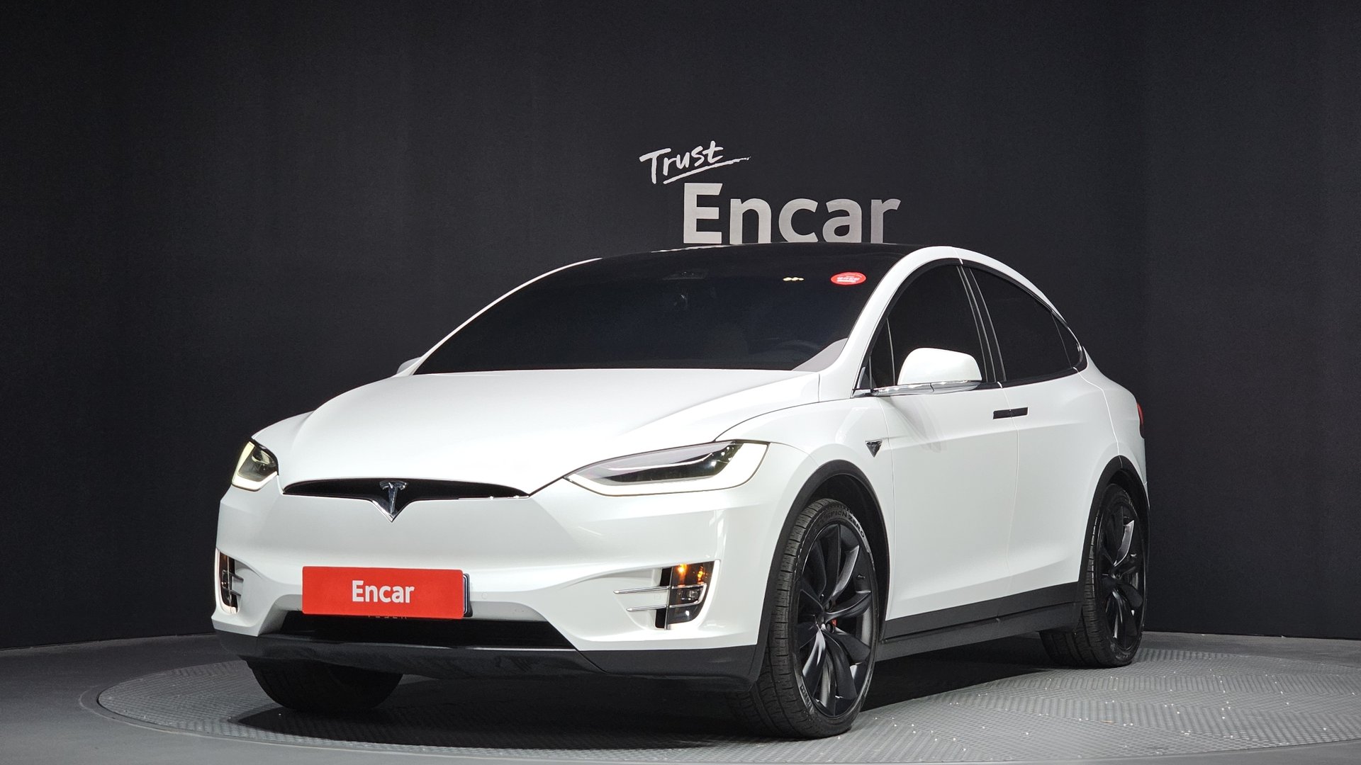 TESLA MODEL X - View 1