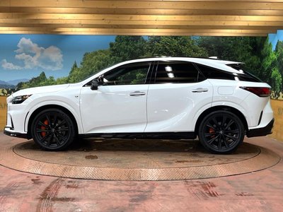 2023 Lexus RX — миниатюра 60