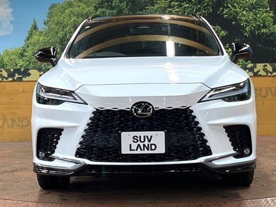 2023 Lexus RX — миниатюра 14