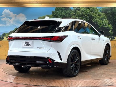 2023 Lexus RX — миниатюра 17