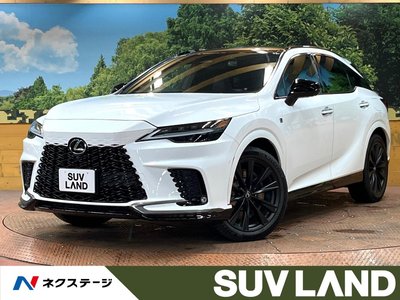 2023 Lexus RX photo 1