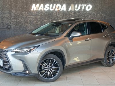 LEXUS NX - 1