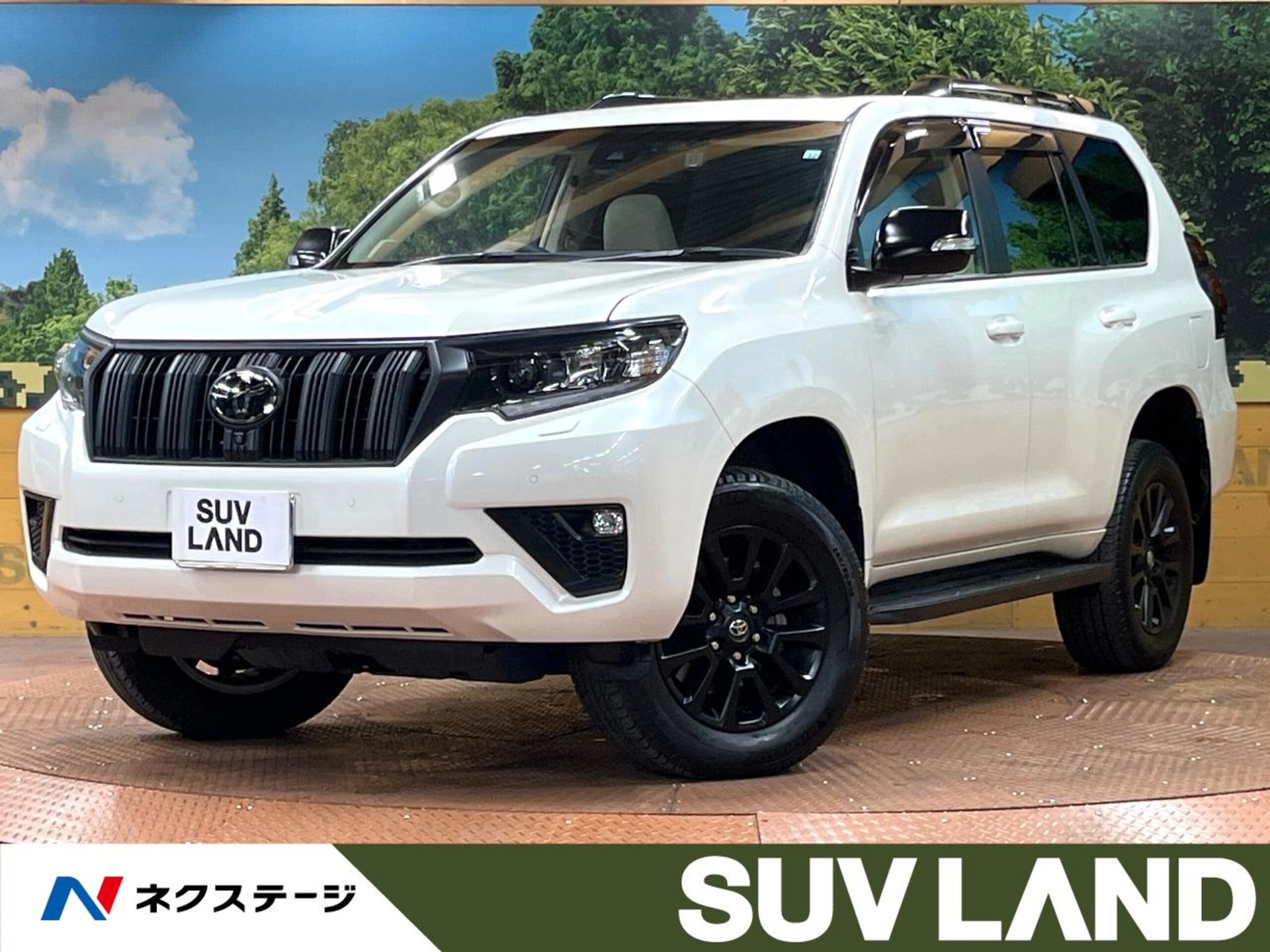 TOYOTA LAND CRUISER PRADO - View 1