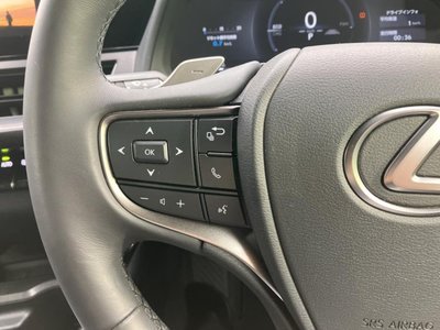 صورة مصغرة 44 لـ 2024 Lexus UX