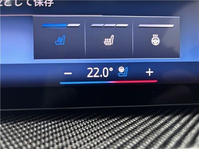 2024 BMW X5 缩略图 29