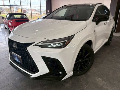 LEXUS NX - 6