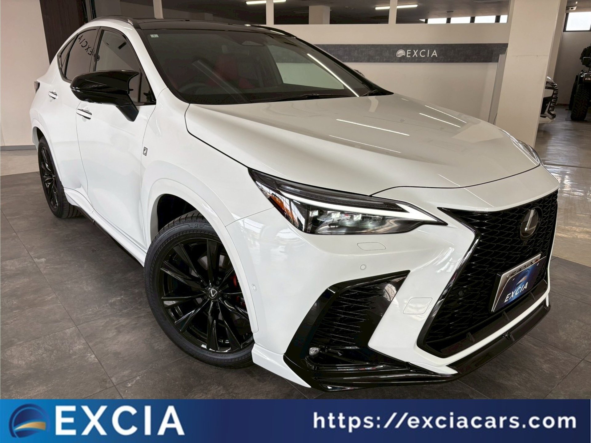 LEXUS NX - View 1