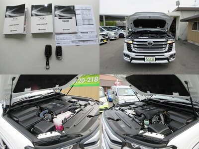 2023 Toyota LAND CRUISER 300 — миниатюра 45
