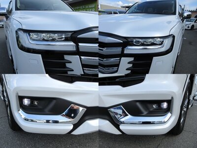 2023 Toyota LAND CRUISER 300 — миниатюра 56