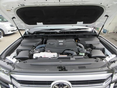 2023 Toyota LAND CRUISER 300 — миниатюра 157