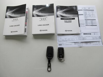 2023 Toyota LAND CRUISER 300 — миниатюра 159