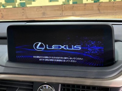 LEXUS RX - 6