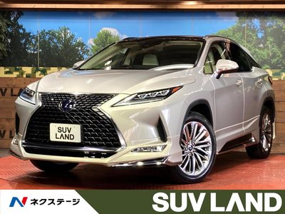 LEXUS RX - 1