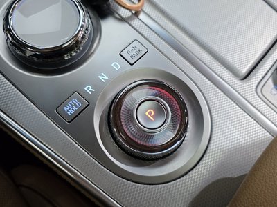 GENESIS GV80 - 9